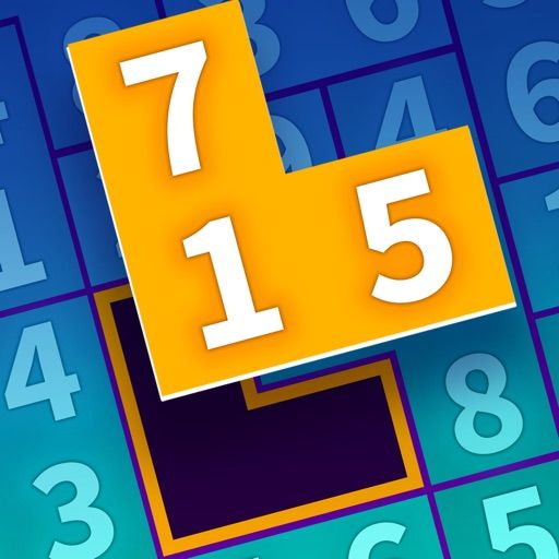 Flow Fit: Sudoku cover