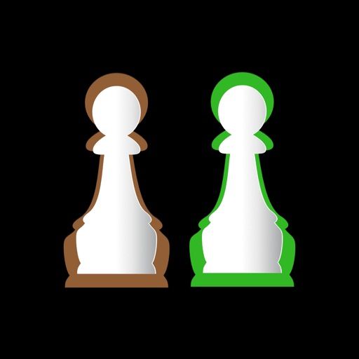 Mate in 2 Chess Puzzles cover