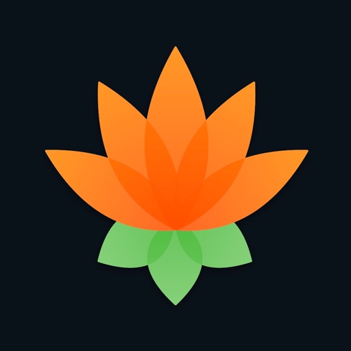 Lotus Chess – Trainer cover