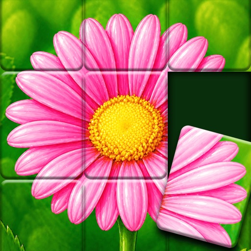 Jigsort®: Solitaire cover