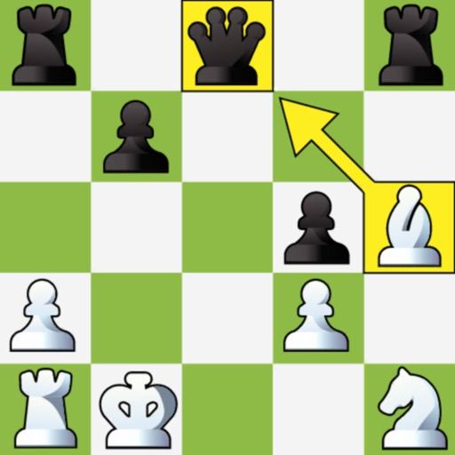 Chess Puzzles - Board Game cover