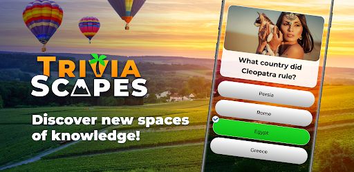 IQ & brain test: Triviascapes cover