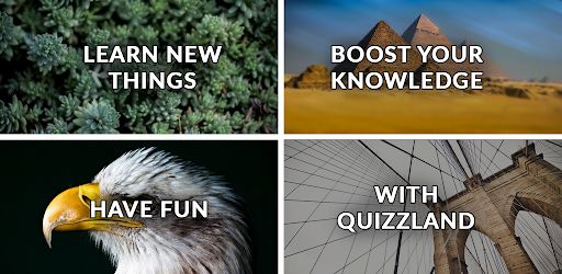 QuizzLand. Quiz & Trivia game cover