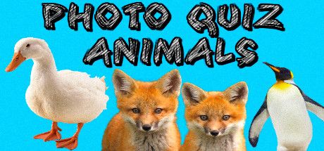 Photo Quiz - Animals cover