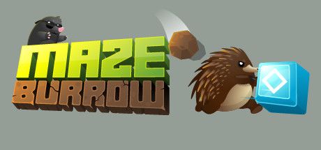 Maze Burrow cover