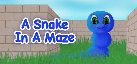 A Snake In A Maze cover
