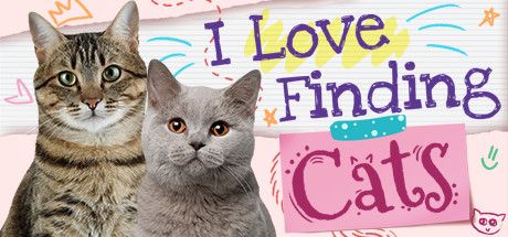 I Love Finding Cats cover