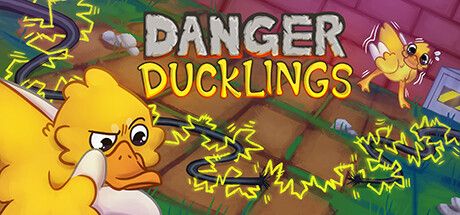 Danger Ducklings cover