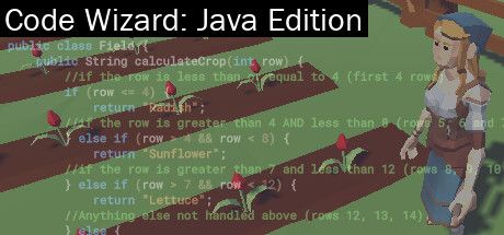 Code Wizard: Java Edition cover