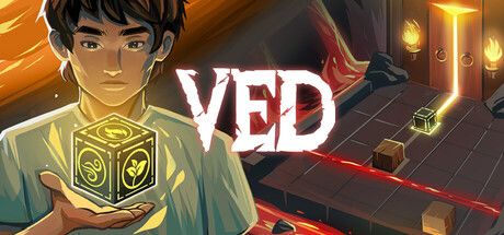Ved : Journey Beyond the Cube cover