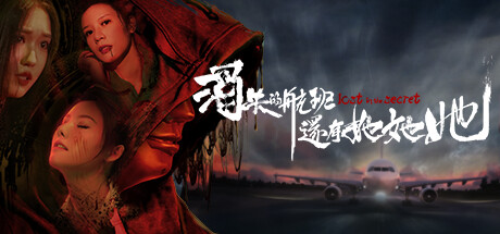 消失的航班，还有她她她！Lost in the secret! cover