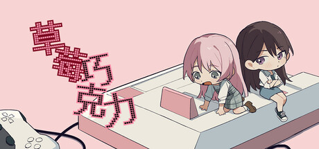 Strawberry Chocolate cover