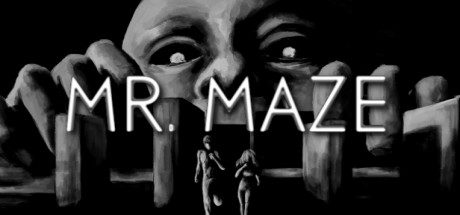 Mr. Maze cover